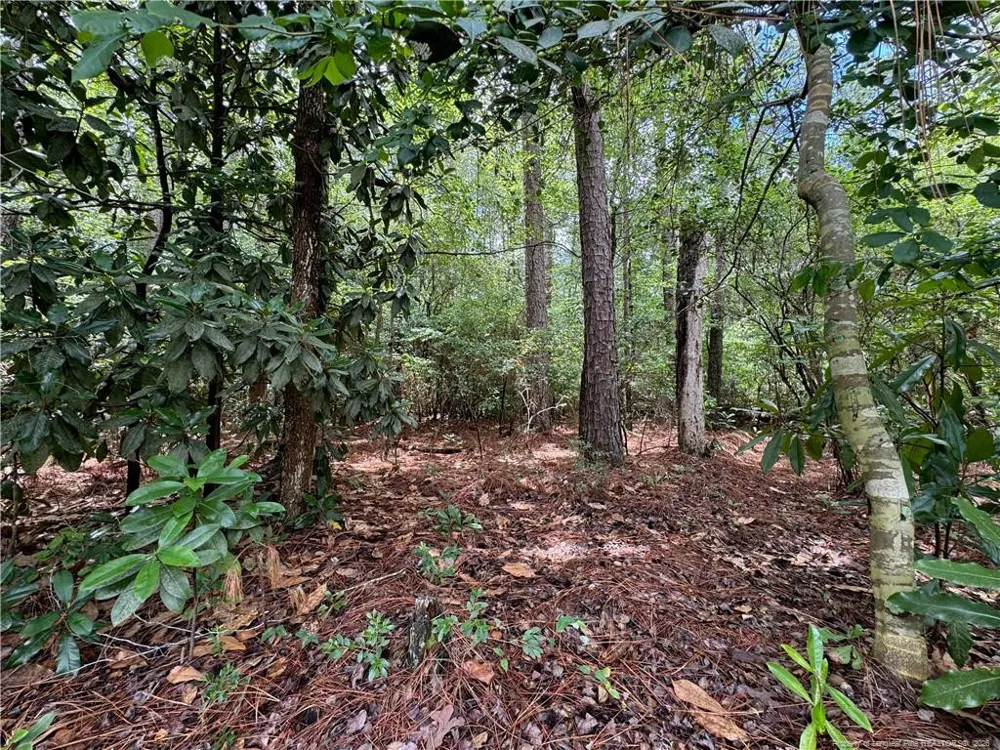 TBD Myra Road Raeford, NC 28376