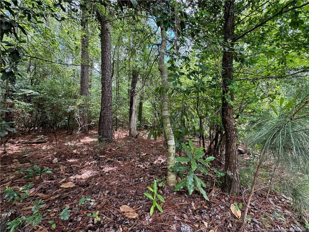 TBD Myra Road Raeford, NC 28376