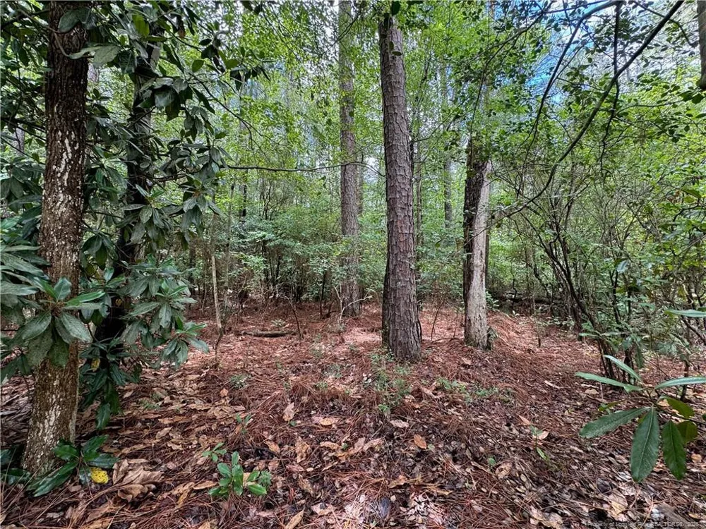 TBD Myra Road Raeford, NC 28376