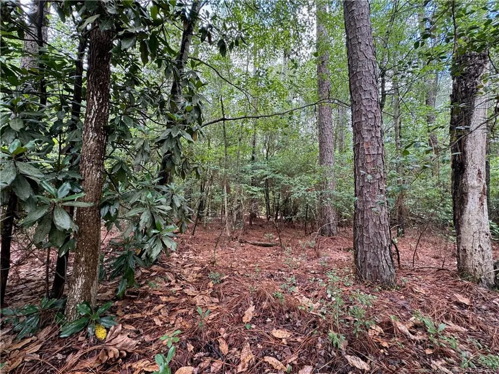 TBD Myra Road Raeford, NC 28376