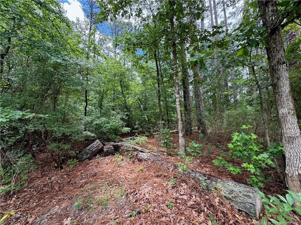 TBD Myra Road Raeford, NC 28376