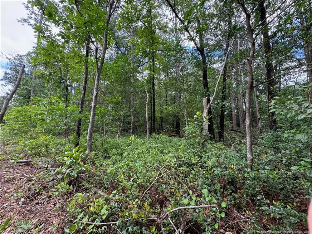 TBD Myra Road Raeford, NC 28376