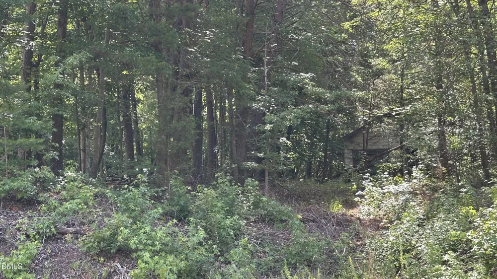 3016 Carver Road Rougemont, NC 27572