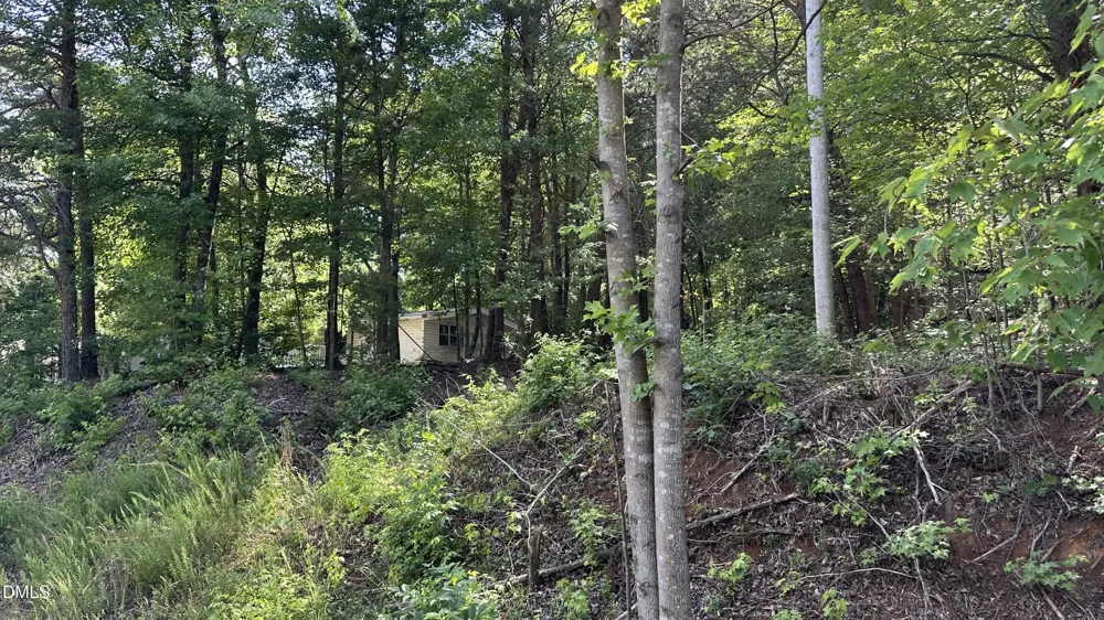 3016 Carver Road Rougemont, NC 27572