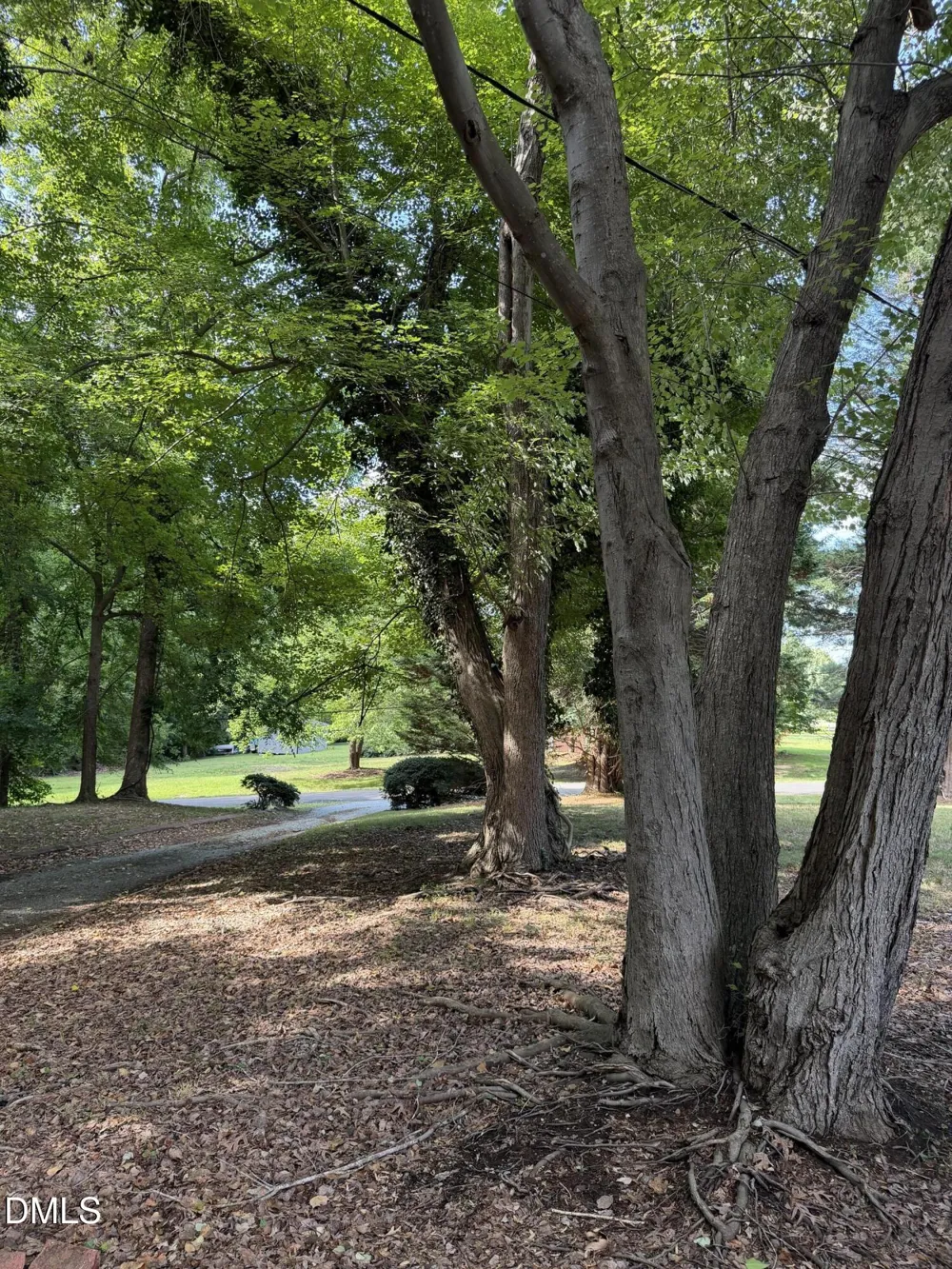 81 Alleghany Drive Roxboro, NC 27573