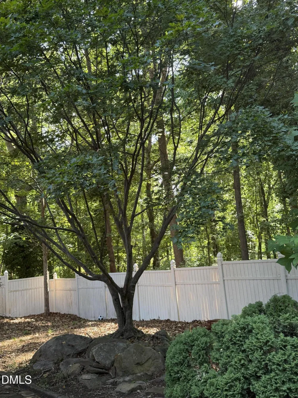 81 Alleghany Drive Roxboro, NC 27573