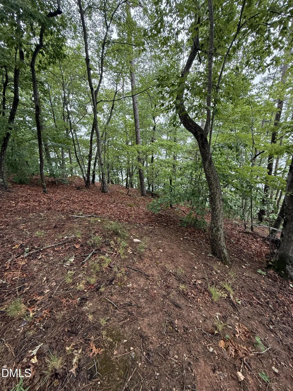 0 Edwards Ridge Road Littleton, NC 27850