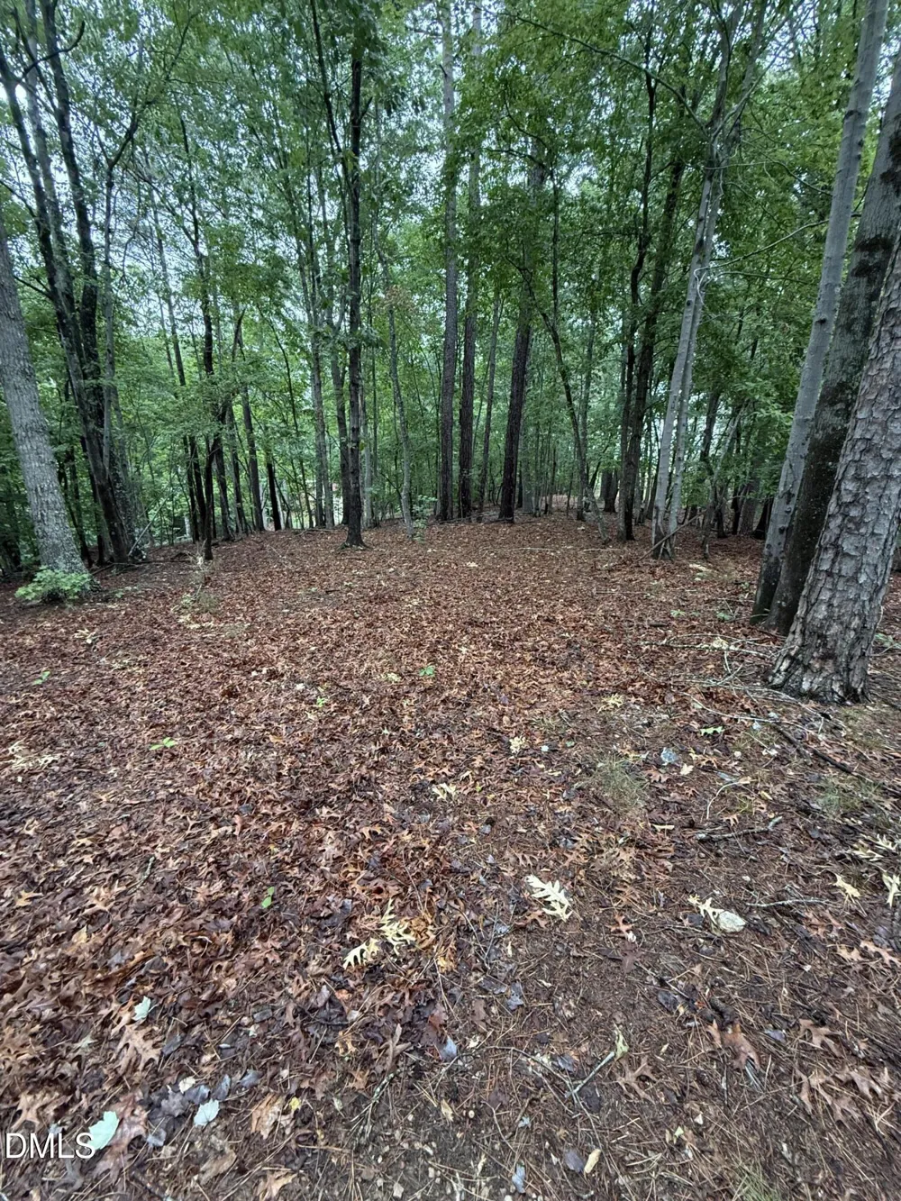 0 Edwards Ridge Road Littleton, NC 27850