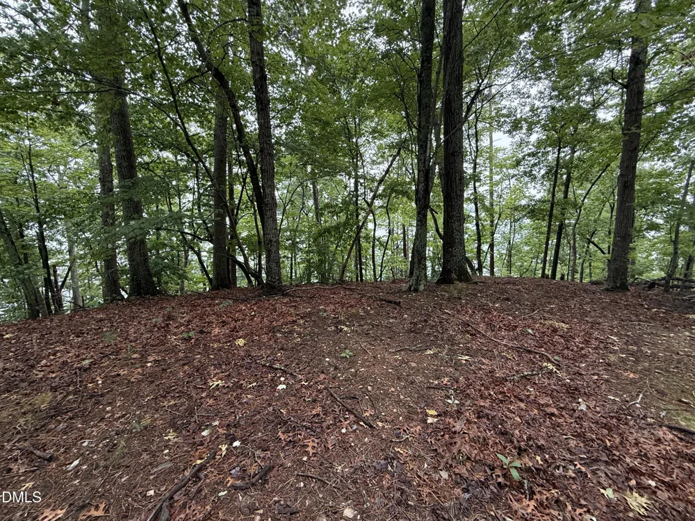 0 Edwards Ridge Road Littleton, NC 27850