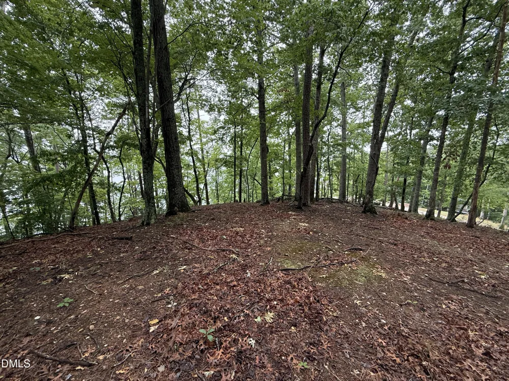 0 Edwards Ridge Road Littleton, NC 27850