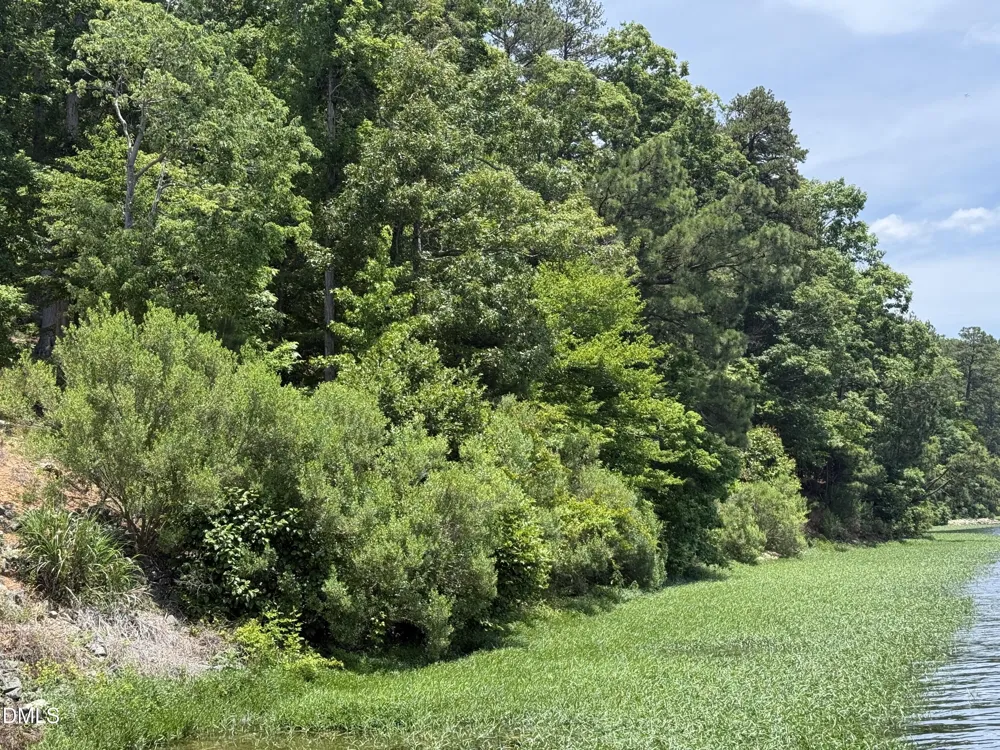 0 Edwards Ridge Road Littleton, NC 27850
