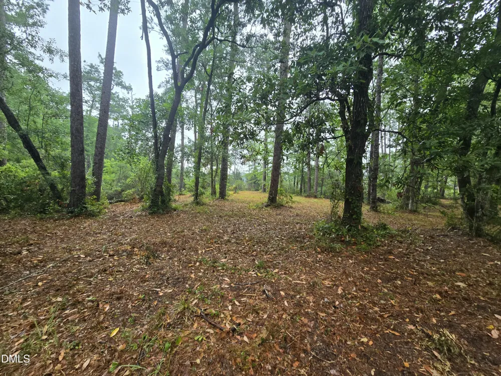 488 Bay Shores Road Merritt, NC 28556