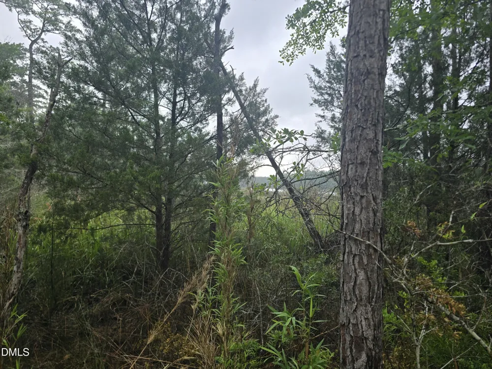 488 Bay Shores Road Merritt, NC 28556