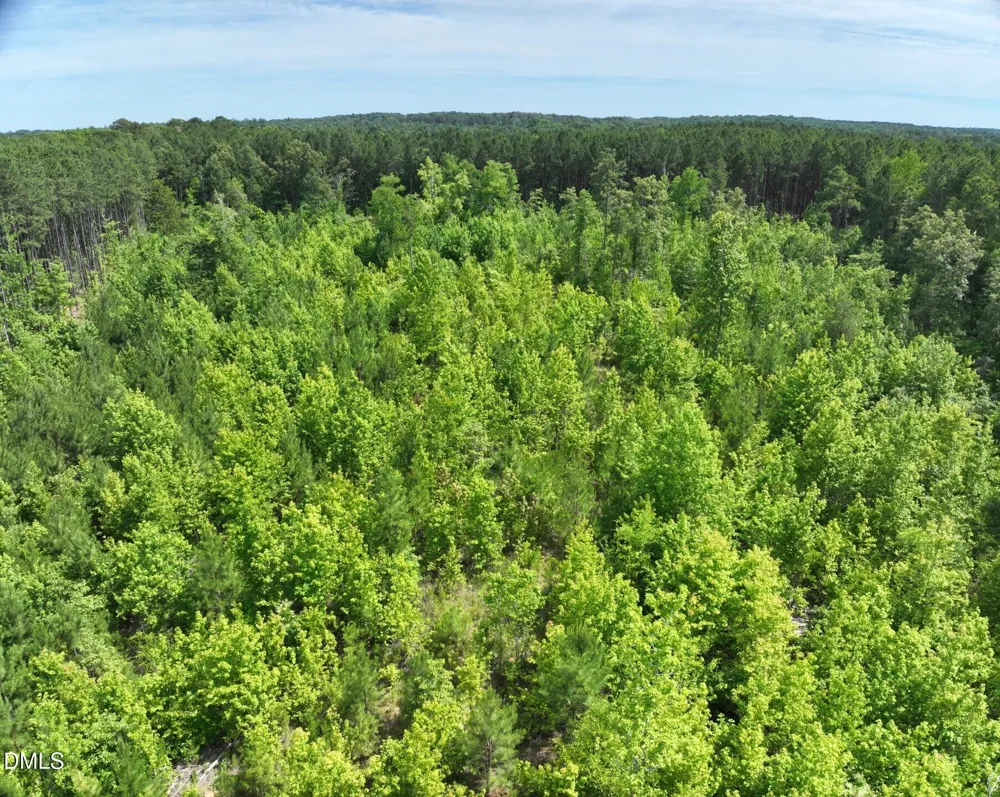 0 John Robert Headen Road Moncure, NC 27559