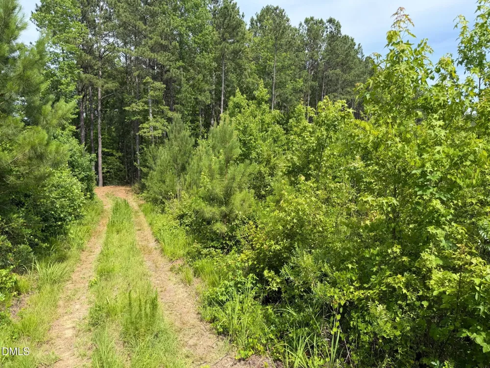 0 John Robert Headen Road Moncure, NC 27559
