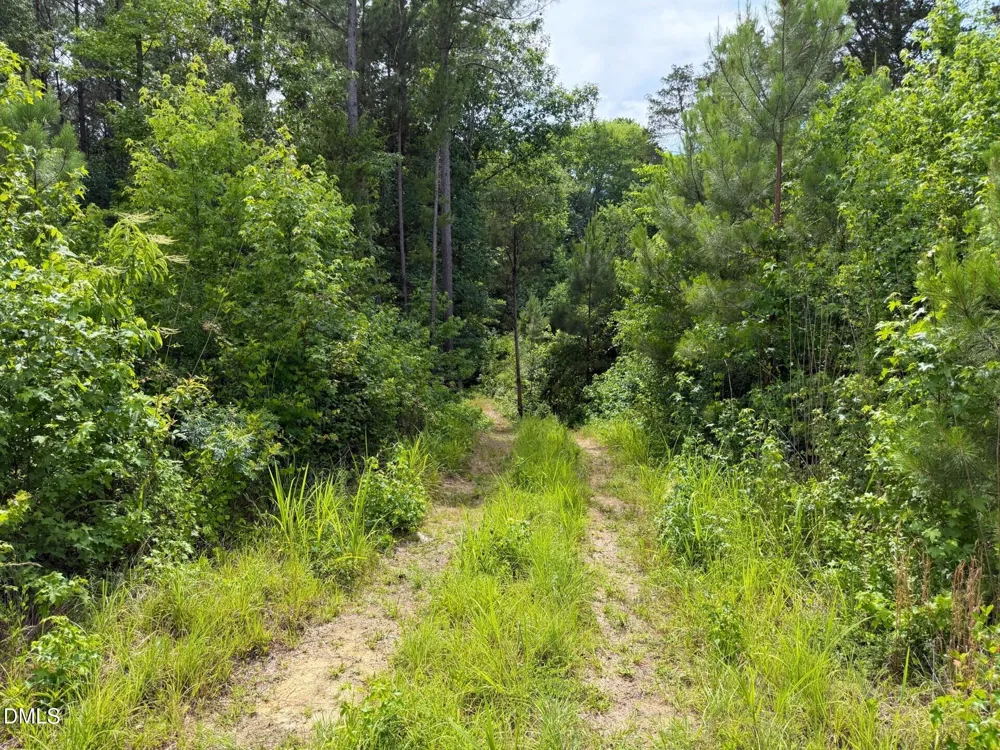 0 John Robert Headen Road Moncure, NC 27559