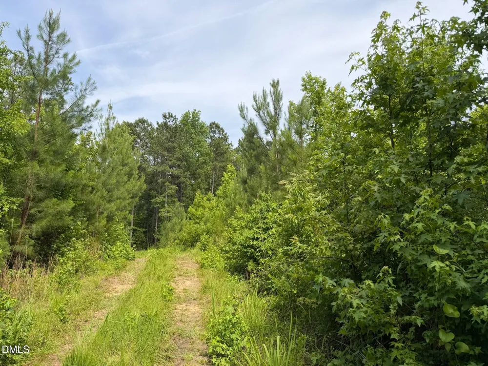 0 John Robert Headen Road Moncure, NC 27559