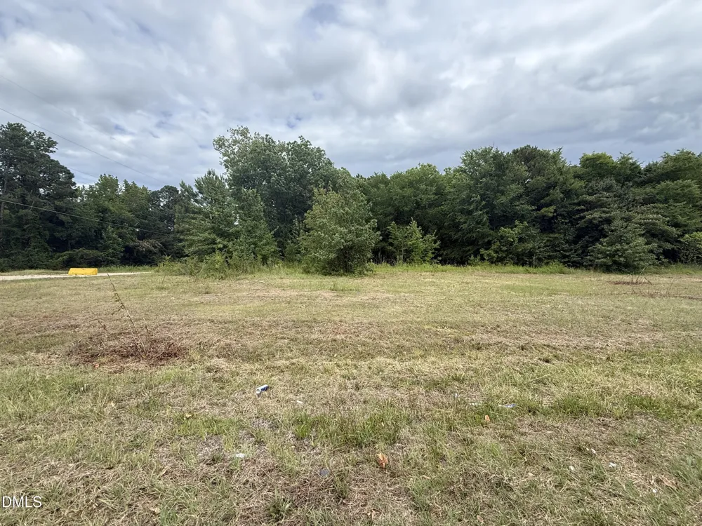 264 15th Street Erwin, NC 28339