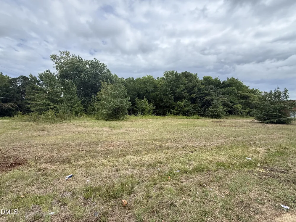 264 15th Street Erwin, NC 28339