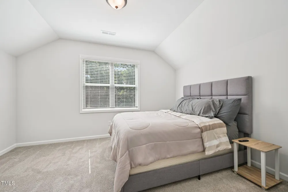 133 Black Cloud Drive Louisburg, NC 27549
