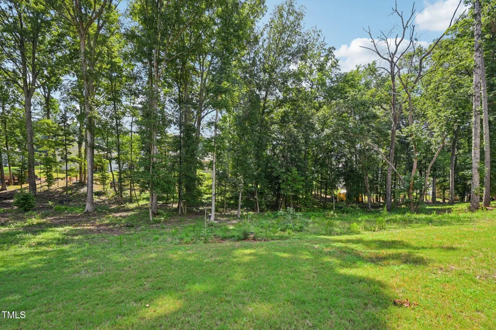 133 Black Cloud Drive Louisburg, NC 27549