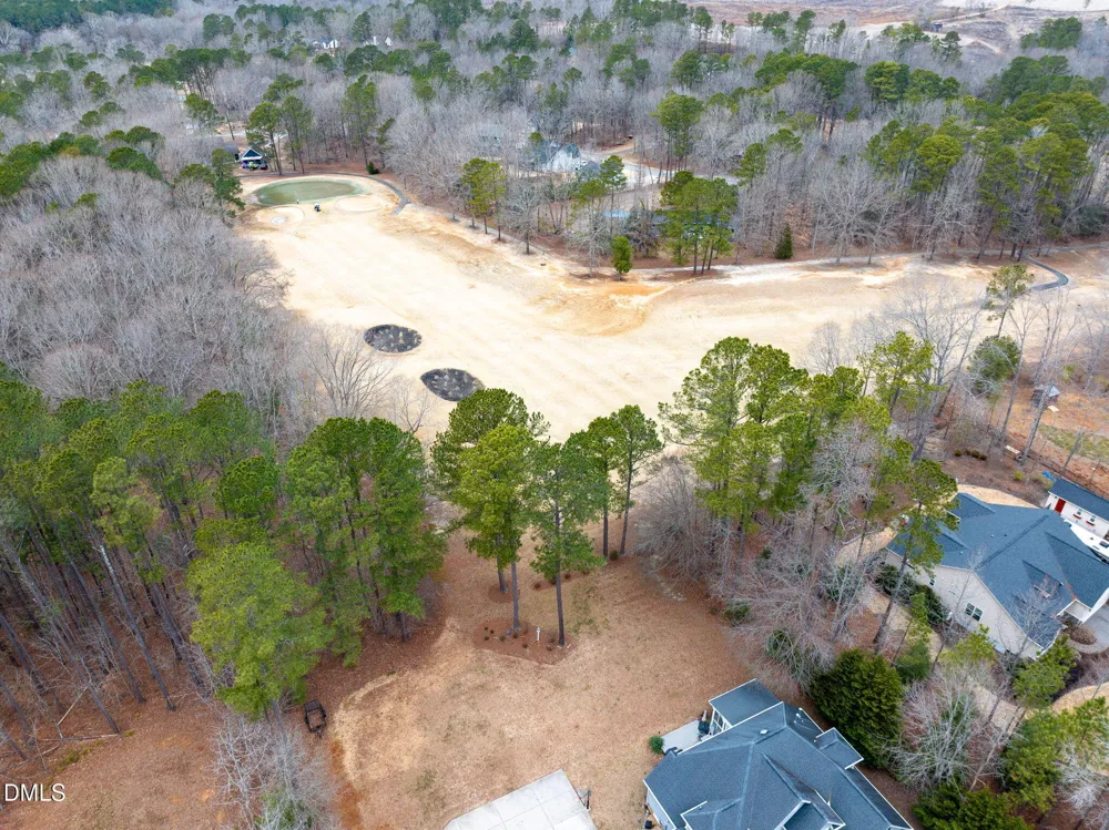 133 Black Cloud Drive Louisburg, NC 27549