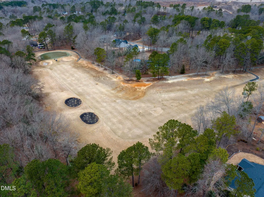 133 Black Cloud Drive Louisburg, NC 27549