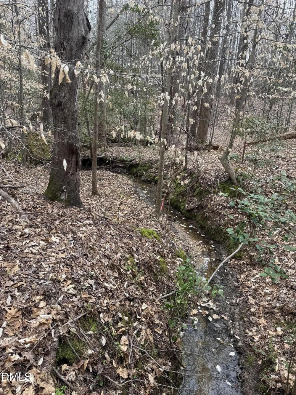 0 Old Us Hwy 64 Spring Hope, NC 27882