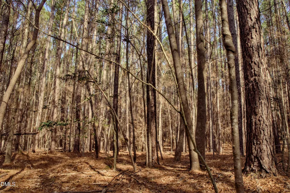 7023 Southern Trail Chapel Hill, NC 27516