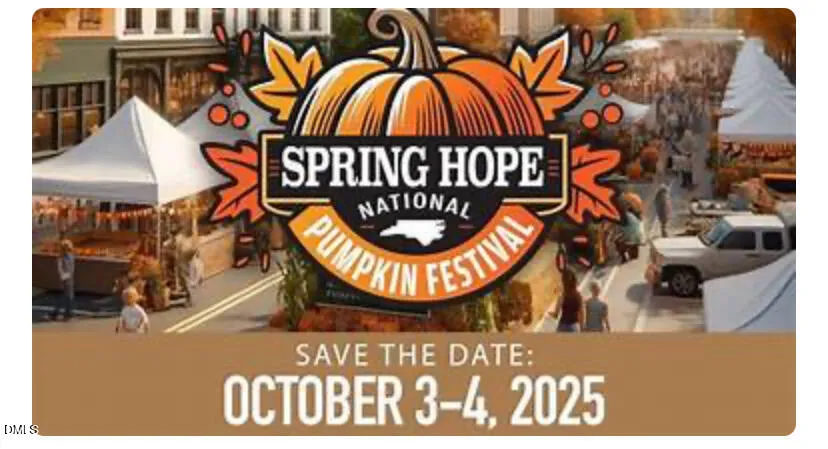 207 Hopkins Avenue Spring Hope, NC 27882