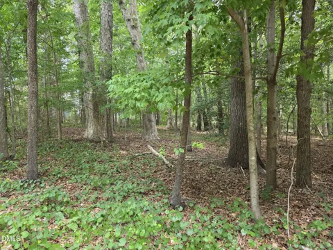 4901 Bluebird House Lane