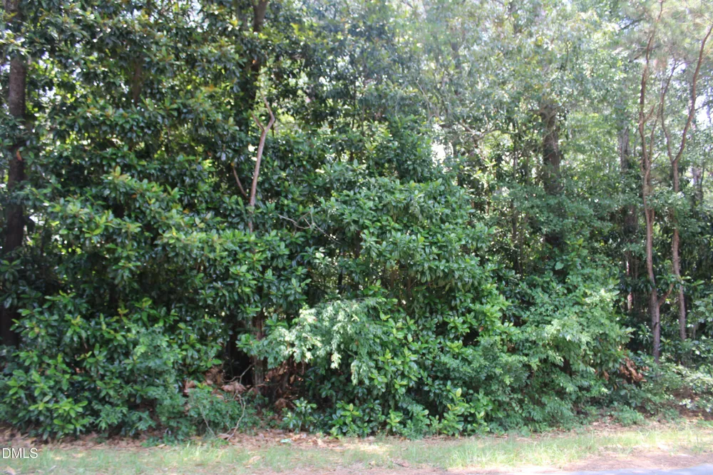 20 Grant Drive Goldsboro, NC 27534