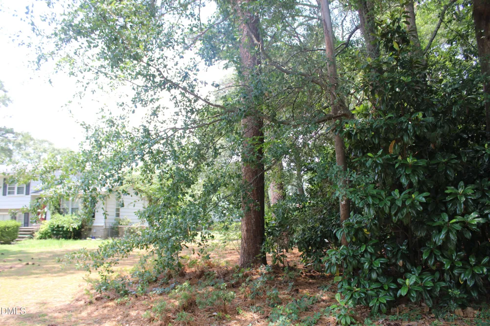 20 Grant Drive Goldsboro, NC 27534