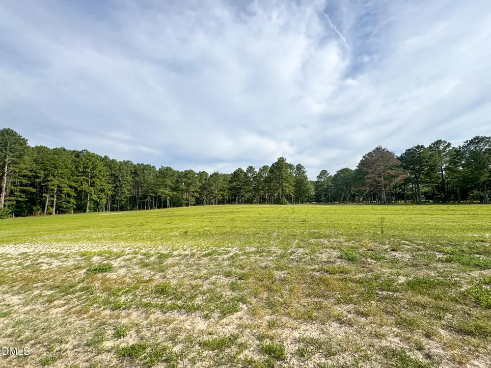 113 Pine Log Lane Roseboro, NC 28382