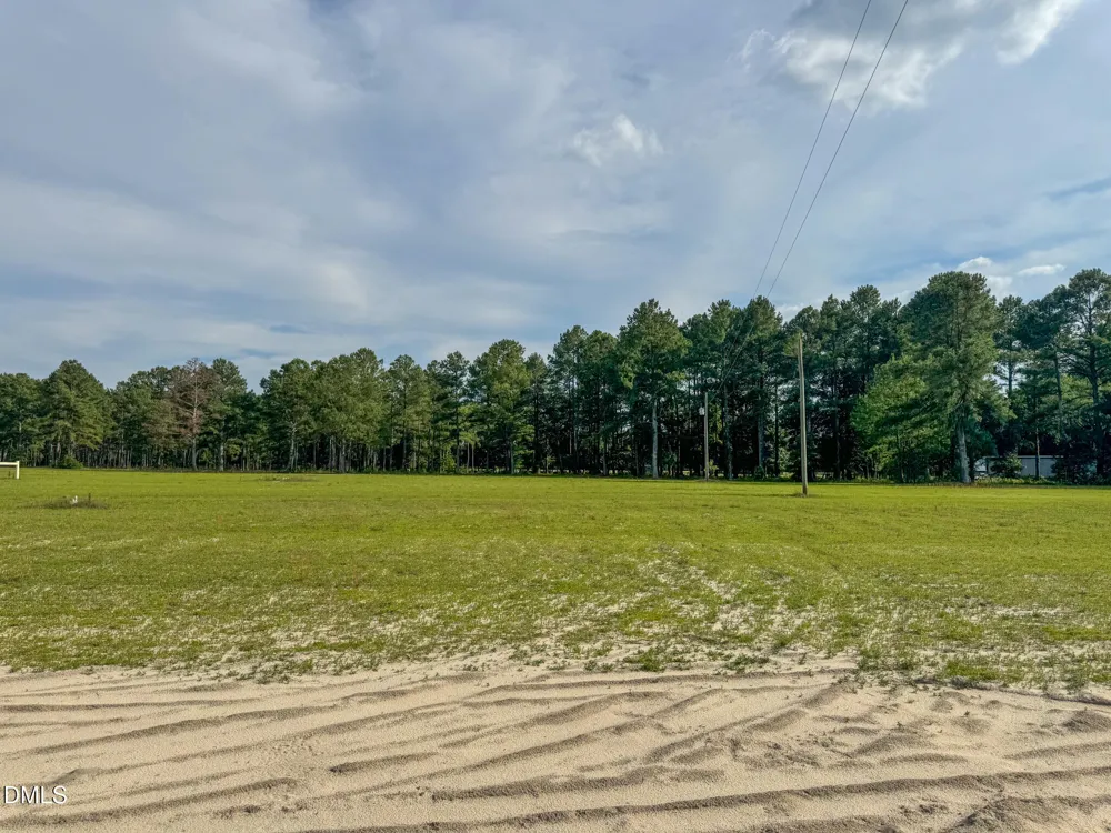 113 Pine Log Lane Roseboro, NC 28382