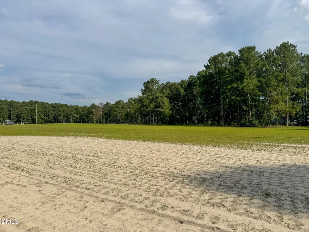 113 Pine Log Lane Roseboro, NC 28382