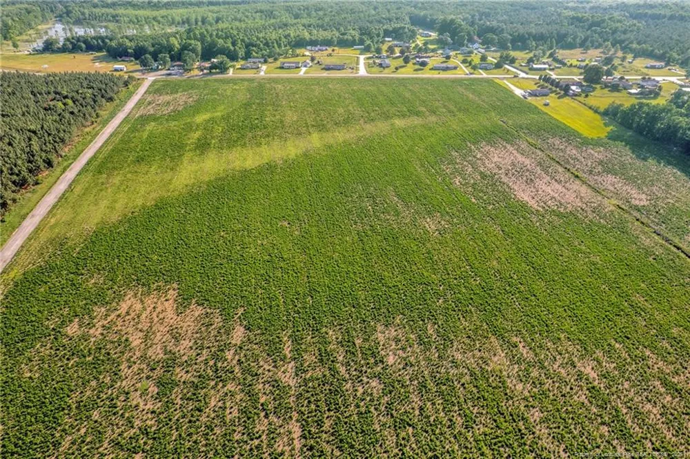 00 NC-211 Hwy (Lot 2) Road Red Springs, NC 28377