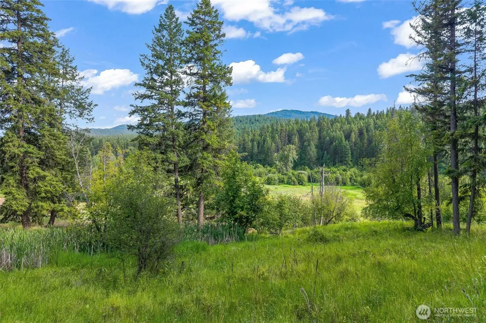 114 X Sletten Way Colville, WA 99114