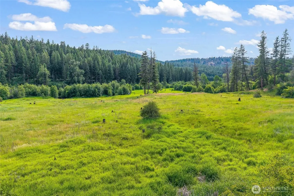 114 X Sletten Way Colville, WA 99114