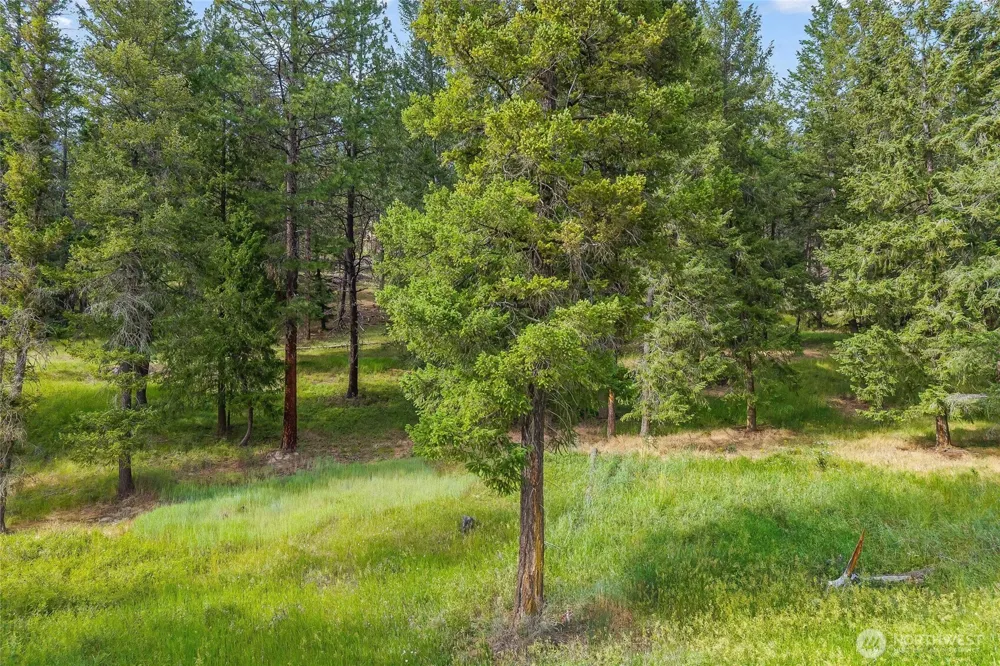 114 X Sletten Way Colville, WA 99114