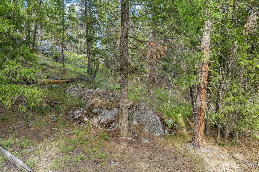 114 X Sletten Way Colville, WA 99114