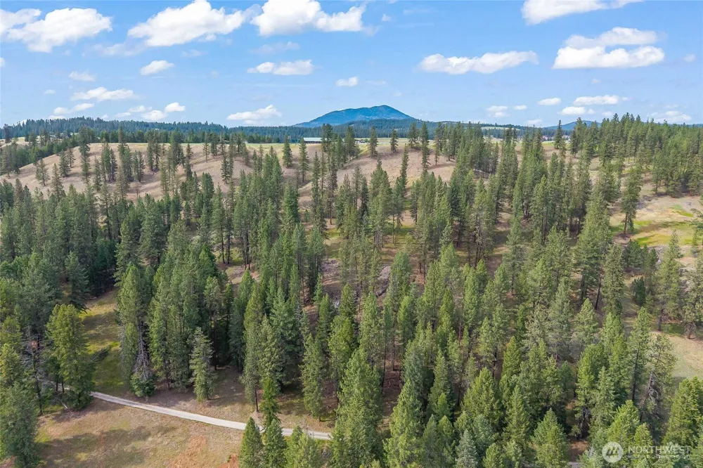 114 X Sletten Way Colville, WA 99114