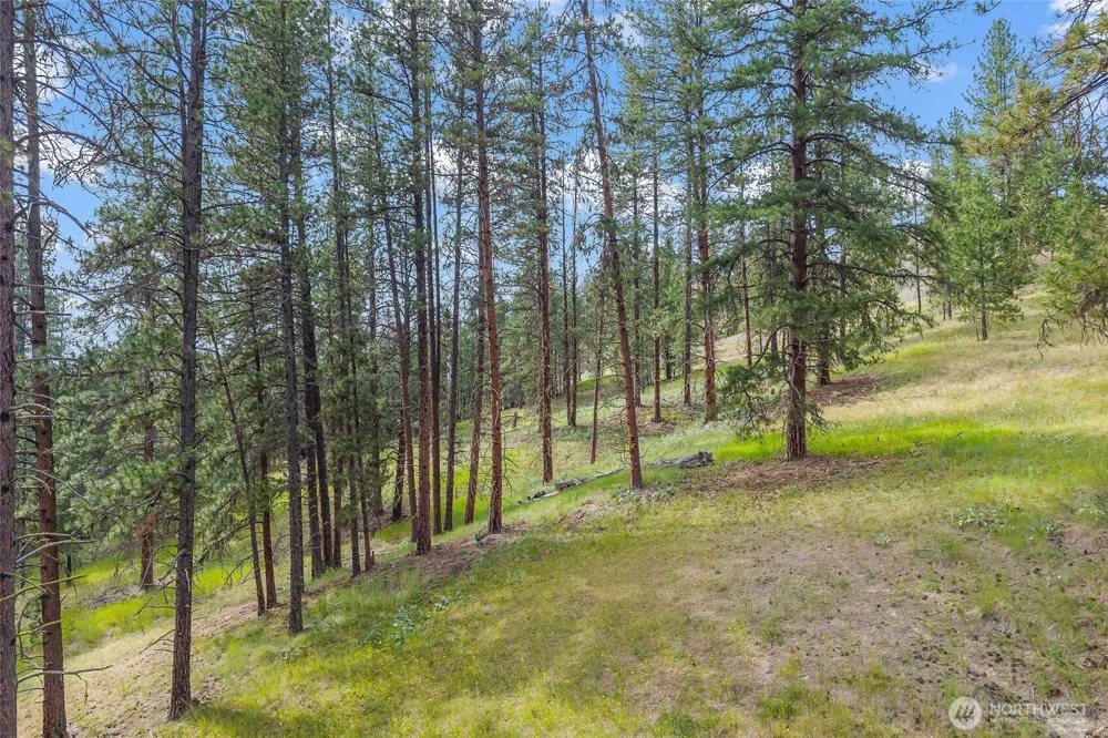 114 X Sletten Way Colville, WA 99114
