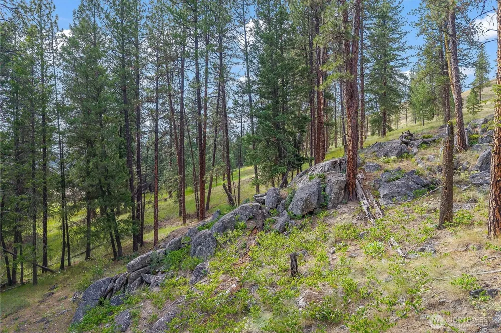 114 X Sletten Way Colville, WA 99114