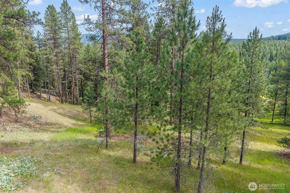 114 X Sletten Way Colville, WA 99114