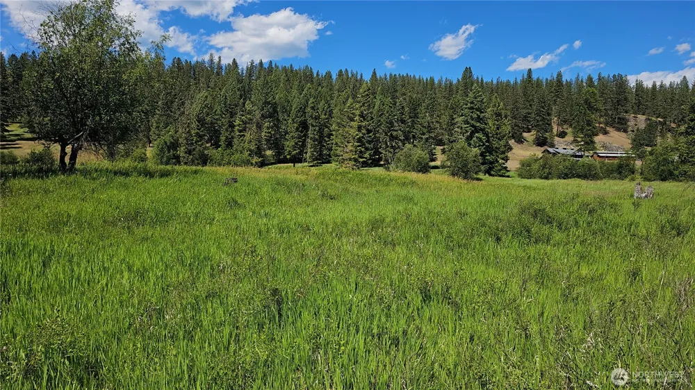 114 X Sletten Way Colville, WA 99114
