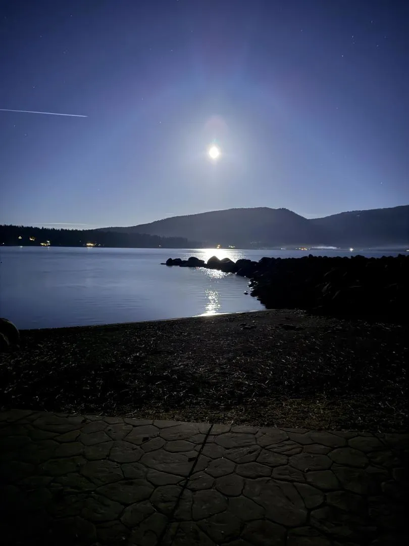 458 Peninsula Drive Lake Almanor, CA 96137