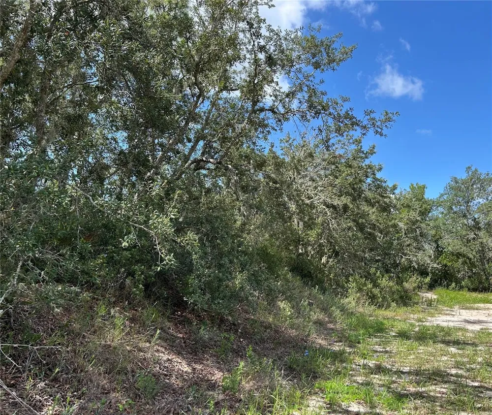 106 & 108 SAIL PLACE Kissimmee, FL 34759