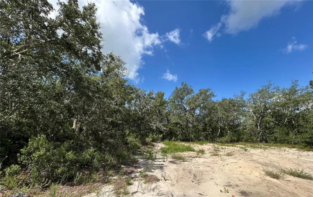 106 & 108 SAIL PLACE Kissimmee, FL 34759