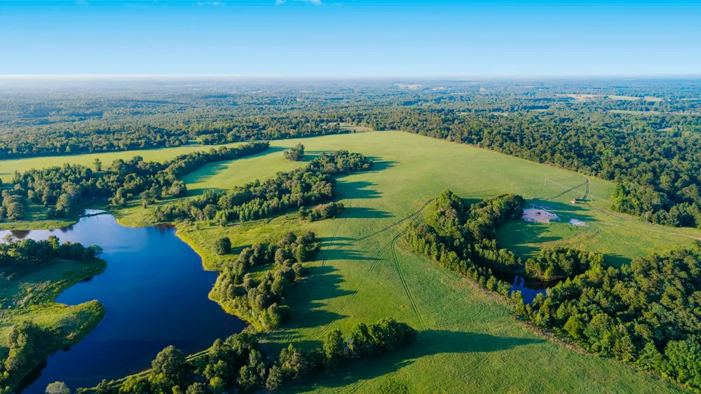 1040 County Road 3590-5 Winnsboro, TX 75494